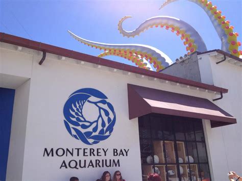 Monterey Bay Aquarium - Compare Ticket Prices from Different Websites ...