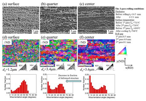 Through-Thickness Microstructure and Strain Distribution in Steel ...