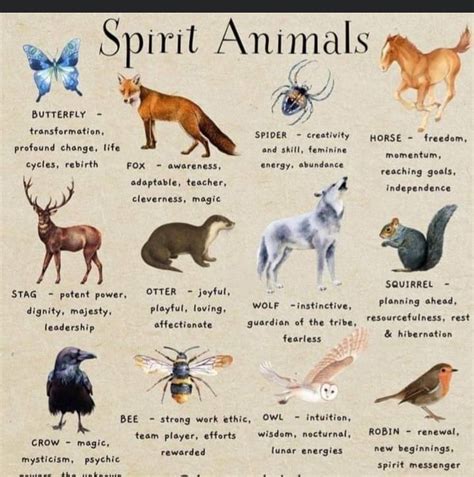 Pin by Nikkol on spiritual | Animal spirit guides, Animal totem spirit ...