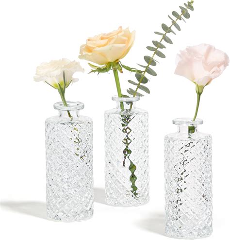 Amazon.com: Glass Vase Small Vases for Flowers - Glass Bud Vases Set of ...