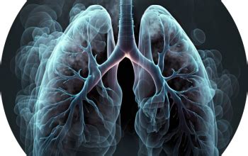 SGOT & SGPT Levels | Causes of Increased Indicators in Liver Health