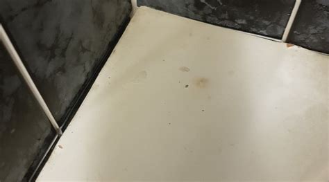 SPLENDID INN KING DAVID (East London) - Hotel Reviews & Photos ...