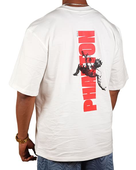 Phaeton Theory 的图像结果