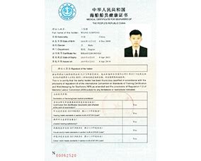 欧美专业资格证书模板.ai_蛙客网viwik.com