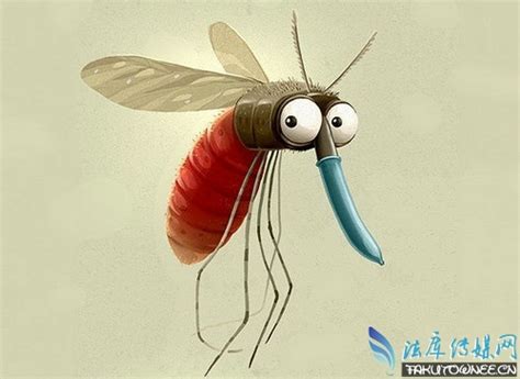 为什么蚊子只在夏天有？为什么我特别的招蚊子咬？_法库传媒网