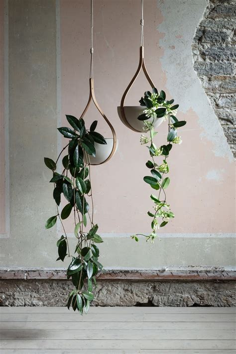 How To Hang Plants From Ceiling - Ceiling Ideas