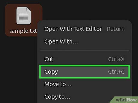 String Copy File in Linux 的图像结果