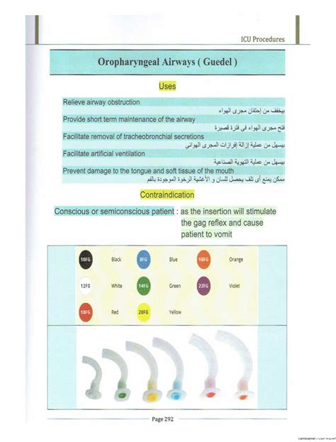 SOLUTION: Airway oxygen - Studypool