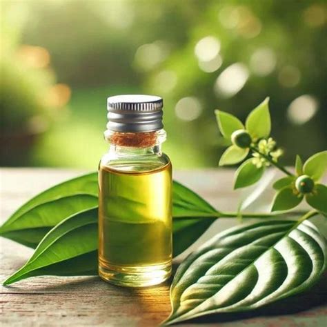 Betel Leaf Hydrosol Oil Exporter, Supplier from Nagpur