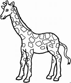 malvorlage tiere einfach junge griaffe ausmalbild malvorlage tiere malvorlage tiere einfach junge griaffe ausmalbild malvorlage tiere