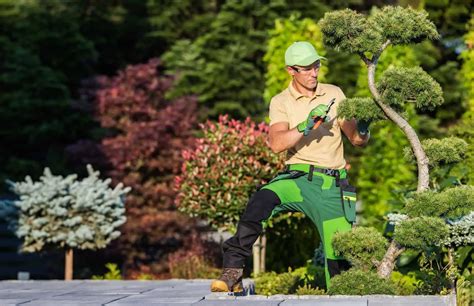 Landscaping Insurance in New York | Upstate Insurance Agency