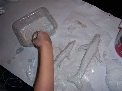 Image result for How to Take Study Models with Plaster Lab