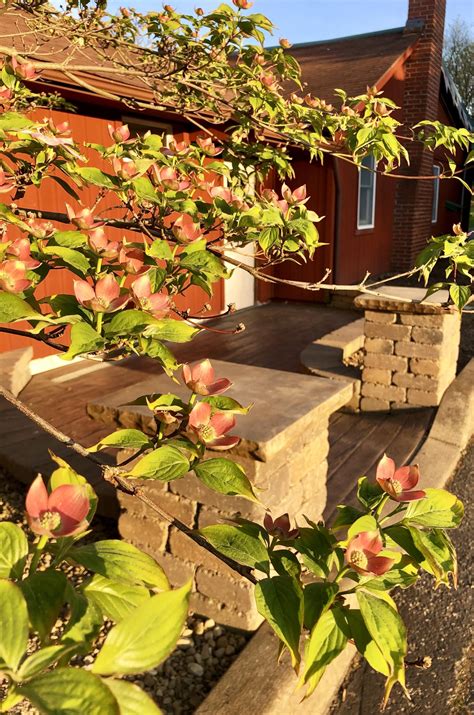 Gallery | Yankee Run Golf Course