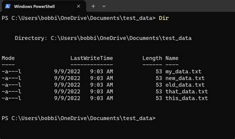 PowerShell Script Get List of Files and File Size in a Directory 的图像结果
