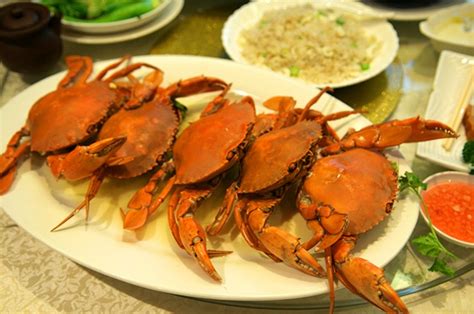 深圳海岸城附近吃了还想吃的美食 - 每日头条