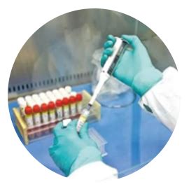 基因组DNA提取服务_分子生物学实验-上海研谨生物科技有限公司