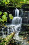 Image result for Animated Nature Wallpaper 4K