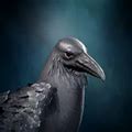 Dire Raven Companion - bg3.wiki