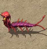 巨型红色蜈蚣危险在庭院里 库存照片. 图片 包括有 - 92466470