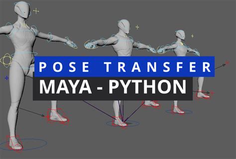 Image result for Divisores En Python