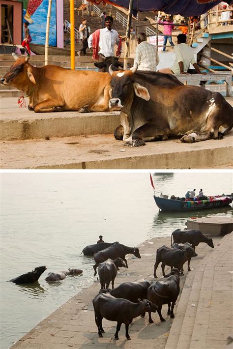 D'source Ganga and Ghats | Culture, City and Crafts of Varanasi | D ...