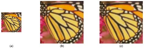 Multi-Frame Blind Super-Resolution Based on Joint Motion Estimation and ...