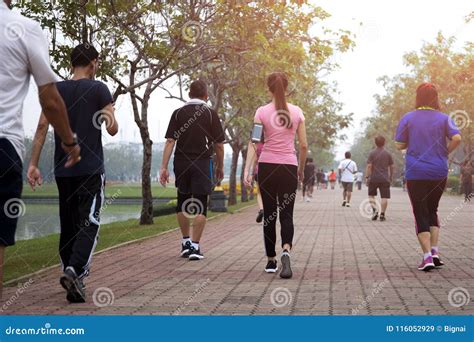 Group of People Exercise Walking in the Park Editorial Stock Image ...