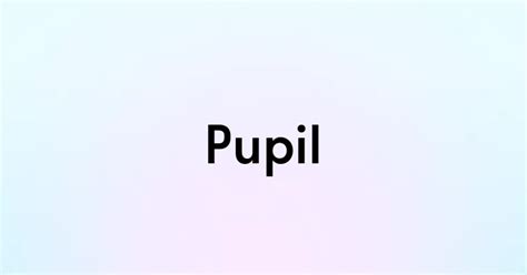 Pupil — перевод, транскрипция, произношение и примеры