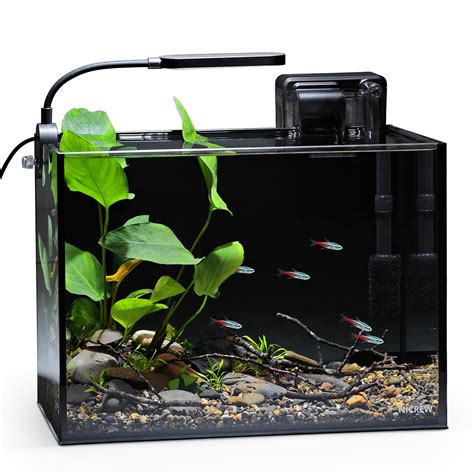 Review of NICREW Nano Nature Aquarium Kit: 2.5 Gallon Rimless Fish Tank