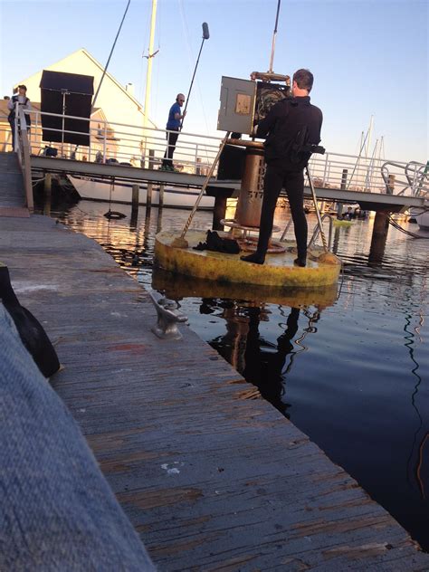 Media - Zombie Shark