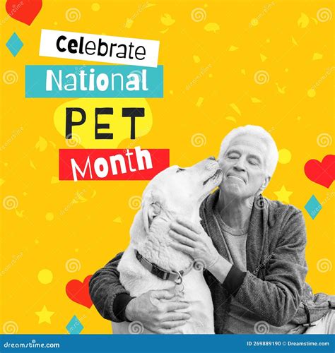 Composition of Celebrate National Pet Month Text Over Senior Caucasian ...