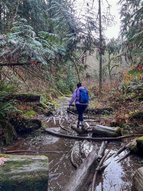 Lime Kiln Trail — Washington Trails Association