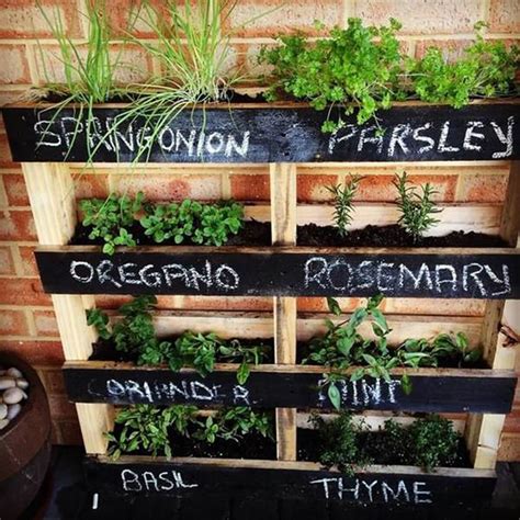 25 Best Herb Garden Ideas and Designs for 2023