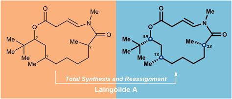 Total Synthesis and Structural Reassignment of Laingolide A