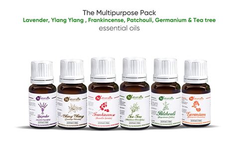 Naturalis 15ml Essential Oil Gift Pack Of 6 for Skin Care (Frankincense ...