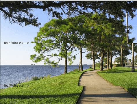 Vsync Screen Tearing 的图像结果