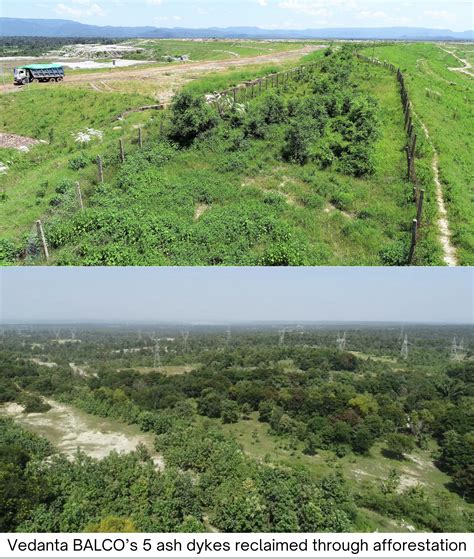 International Day of Forests: Vedanta Aluminium announces significant ...