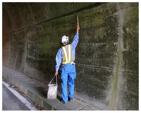Acoustic Inspection of Concrete Structures Using Active Weak ...