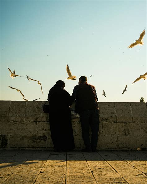 Nature Slideshow 的图像结果