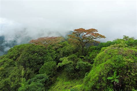 Corridors Of Critical Importance | Nature inFocus