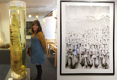 Icelandic, Phallological Museum - The Anxious Wanderer