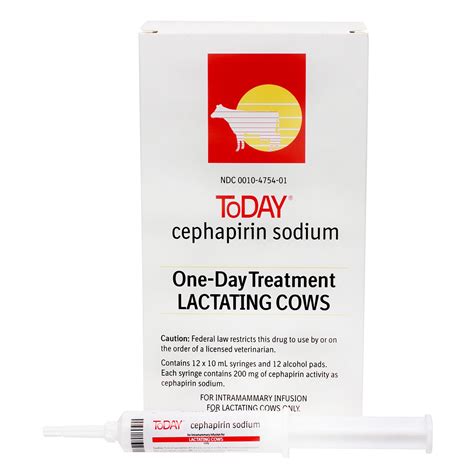 ToDAY (Cephapirin Sodium) Mastitis Treatment for Lactating Cows Rx ...