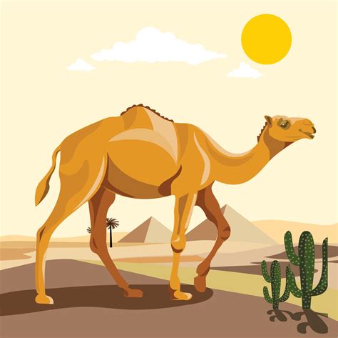 Camels In Desert Clipart