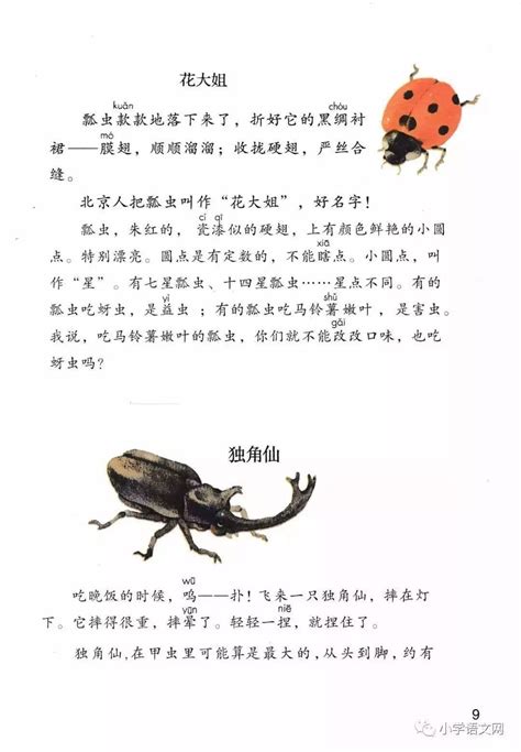 三年级下册语文课文4《昆虫备忘录》图文解读_瓢虫