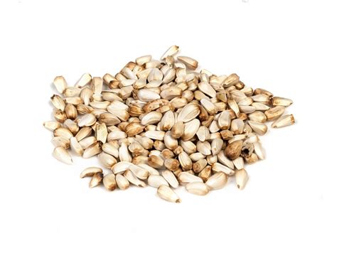 What Birds Eat Safflower Seeds? - Petsmartgo