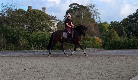 Duchy College Dressage clinic, Duchy College Stoke Climsland ...