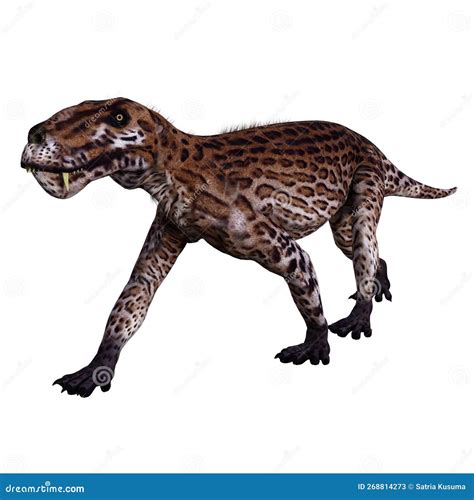Lycaenops Isolated Dinosaur 3d Render Stock Image - Illustration of history, leopard: 268814273