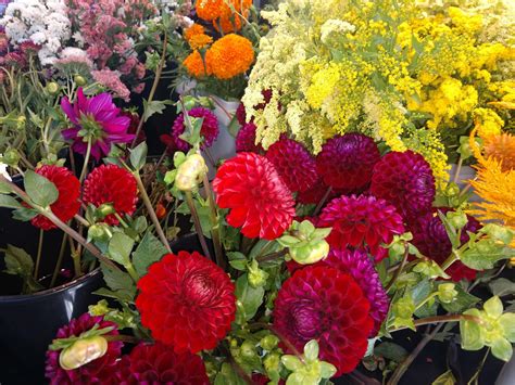 It’s Time for Autumn Plantings and Fall Produce at the Olympia Farmers ...