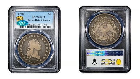 1795 Silver Dollar Value Guide – History, Varieties & Real Market Prices