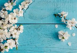 Image result for Spring Bunnies Background